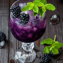 Blueberry Mojito